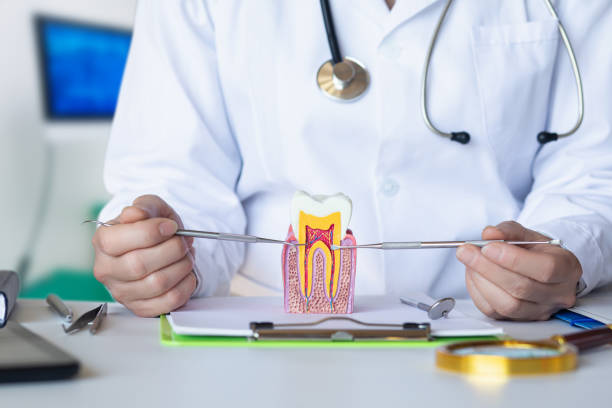 Best Emergency Broken Tooth Repair in Hanover Park, IL